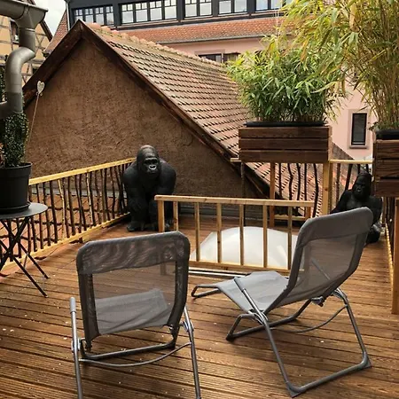 Les D'alicia * 오베르네