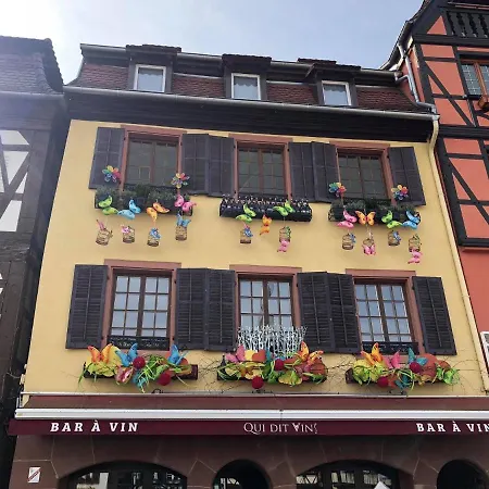 Apartment Les D'alicia Obernai