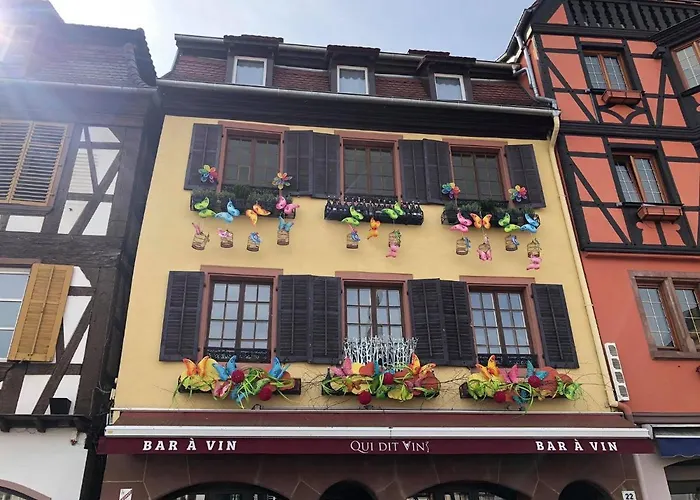 公寓 艾丽西亚公寓 奥贝奈